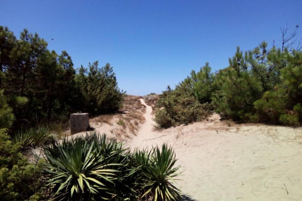 Casa Nel Parco Sulla Spiaggia Пиза Екстериор снимка