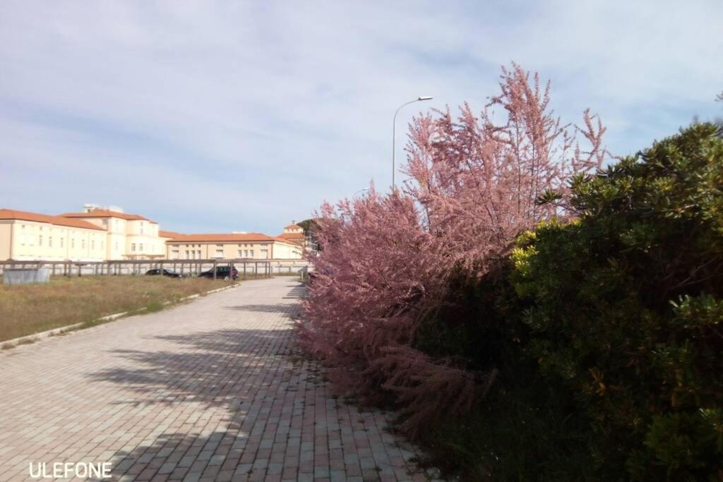 Casa Nel Parco Sulla Spiaggia Пиза Екстериор снимка