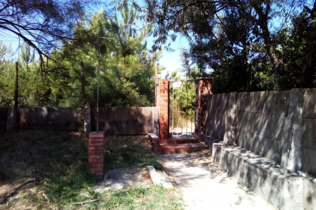 Casa Nel Parco Sulla Spiaggia Пиза Екстериор снимка